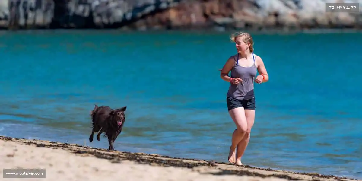 db电竞官网入口🥾登山徒步,用脚步丈量世界,让风景见证坚持的意义!